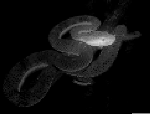 Unsupervised Semantic Segmentation